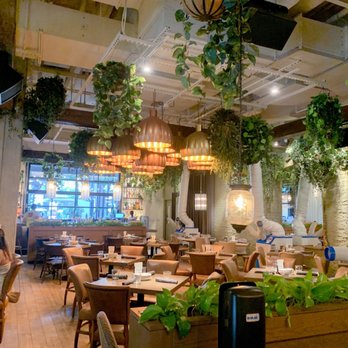Aba - Inside was gorgeous too! - Mediterranean Near Me - Austin, Texas Aba - Inside was gorgeous too! - Mediterranean Near Me - Austin, Texas