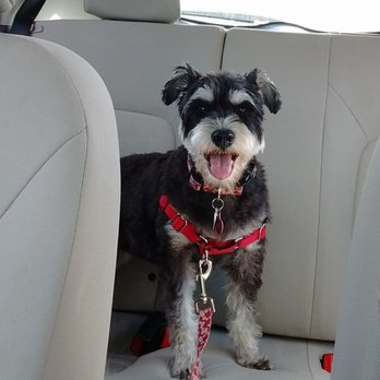 PetSmart - Pet Groomers Near Me - San Diego, California PetSmart - Pet Groomers Near Me - San Diego, California