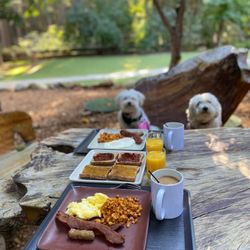 Harmony Ridge Lodge - Breakfast 5/5