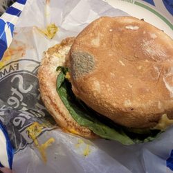 Steak ’n Shake - Moldy double Steakburger Double Cheese Combo