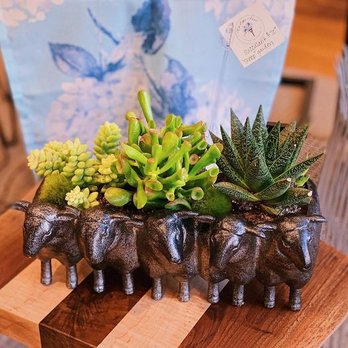 Eiffel Flower - Florists Near Me - Arlington Heights, Illinois
