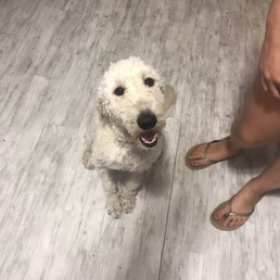 Rouge 8 months old Rouge 8 months old