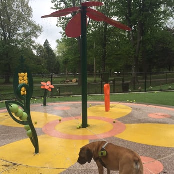 Beau's Dream Dog Park - Fountain of water - Dog Parks Near Me - Lancaster, Pennsylvania Beau's Dream Dog Park - Fountain of water - Dog Parks Near Me - Lancaster, Pennsylvania