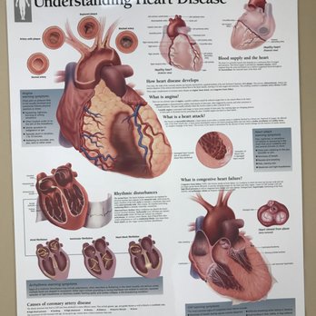 Lakshmana Kumar Pendyala, MD - Cardiologists Near Me - Jeffersonville, Indiana Lakshmana Kumar Pendyala, MD - Cardiologists Near Me - Jeffersonville, Indiana