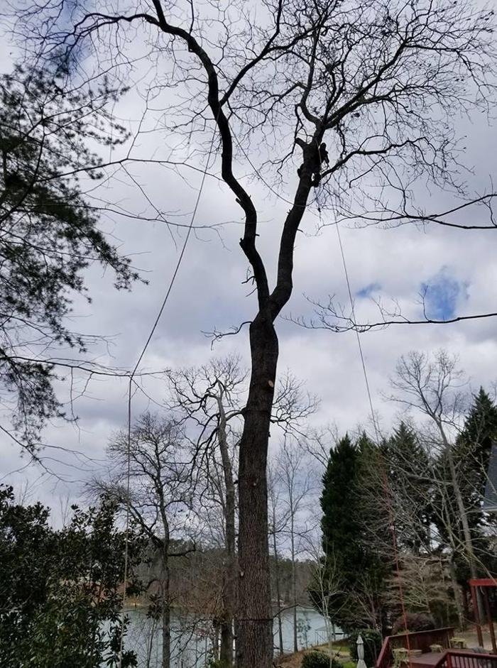 THE LUMBERJACKS Updated June 2024 47 Photos Boiling Springs