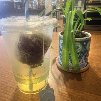 Rowdy Radish - Breakfast & Brunch Near Me - Seward, Alaska