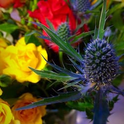 ASDA - ASDA sell lovely & very good value bunches of flowers! (£8)