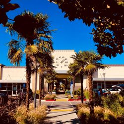 The Plant Shopping Center - Yellow