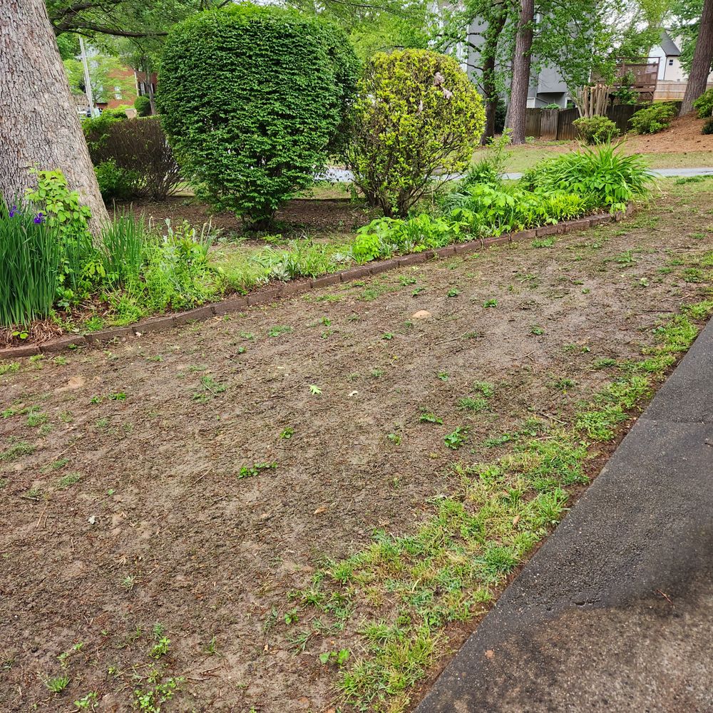 King Green - a lawn with a patch of grass in the middle of it - Tree Services Near Me - Gainesville, Georgia King Green - a lawn with a patch of grass in the middle of it - Tree Services Near Me - Gainesville, Georgia