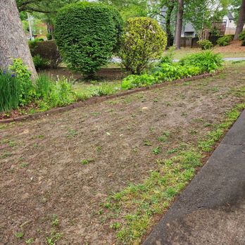 King Green - a lawn with a patch of grass in the middle of it - Tree Services Near Me - Gainesville, Georgia King Green - a lawn with a patch of grass in the middle of it - Tree Services Near Me - Gainesville, Georgia