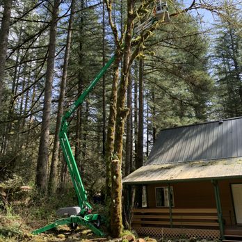 Douglas Tree Service & Landworks - Tree Services Near Me Douglas Tree Service & Landworks - Tree Services Near Me