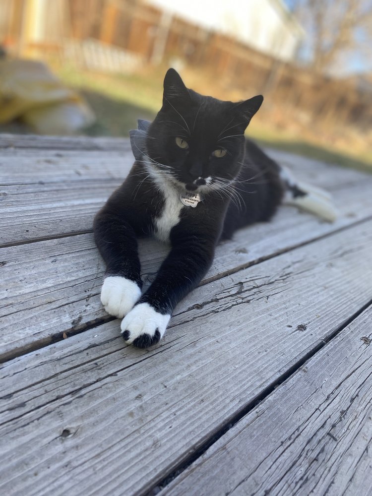 ALPINE GLENN VETERINARY CLINIC Updated August 2024 16 Reviews