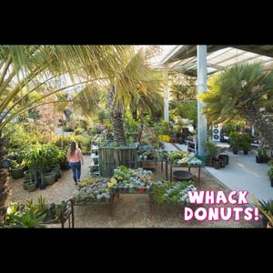 Whack Donuts on Yelp