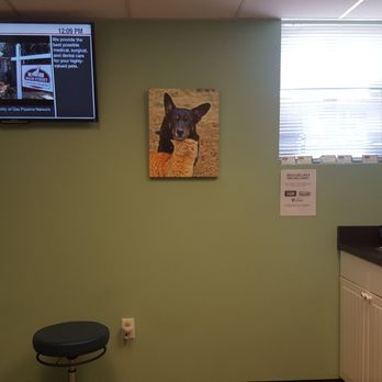 Main Street Veterinary Hospital - Treatment room. - Veterinarians Near Me - Cornelius, North Carolina