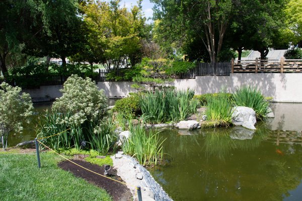 Japanese Garden by null