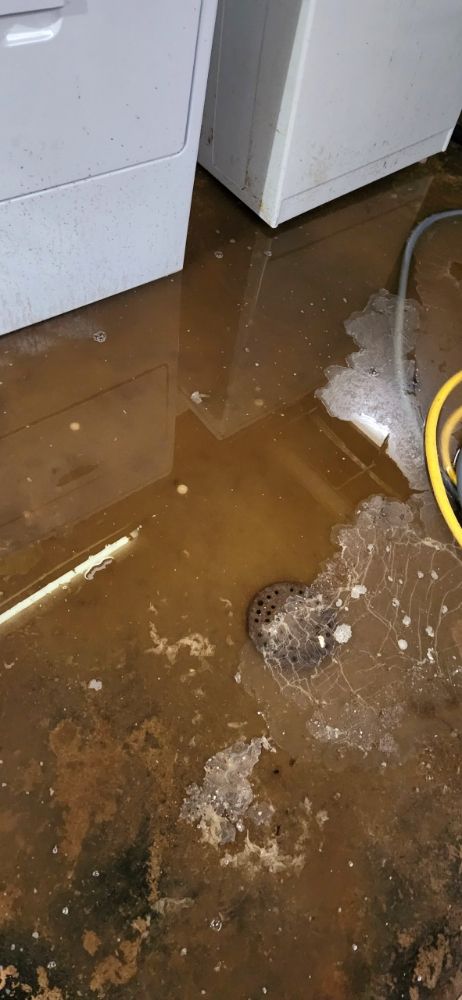 Slide of Hero's Drain Care