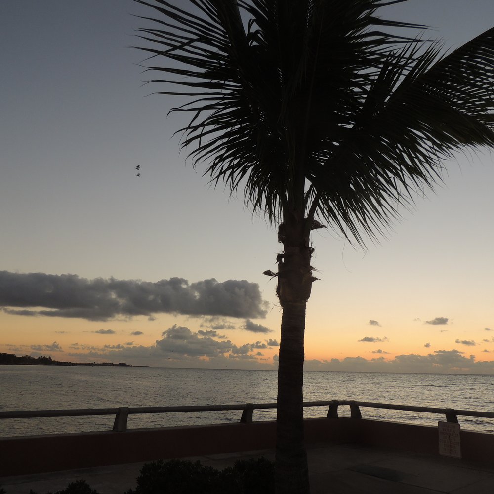Edward B Knight Pier - Fishing Near Me - Key West, Florida