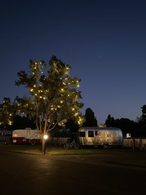 The Vintages Trailer Resort by null