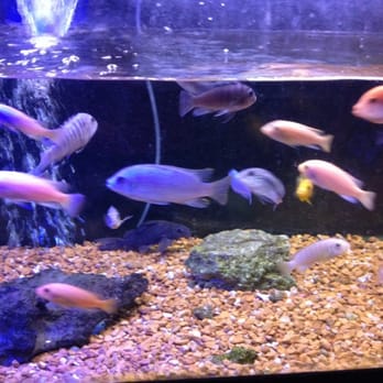 Aquatics & Exotics - Pet Stores Near Me - Cincinnati, Ohio