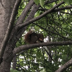 Towl Park