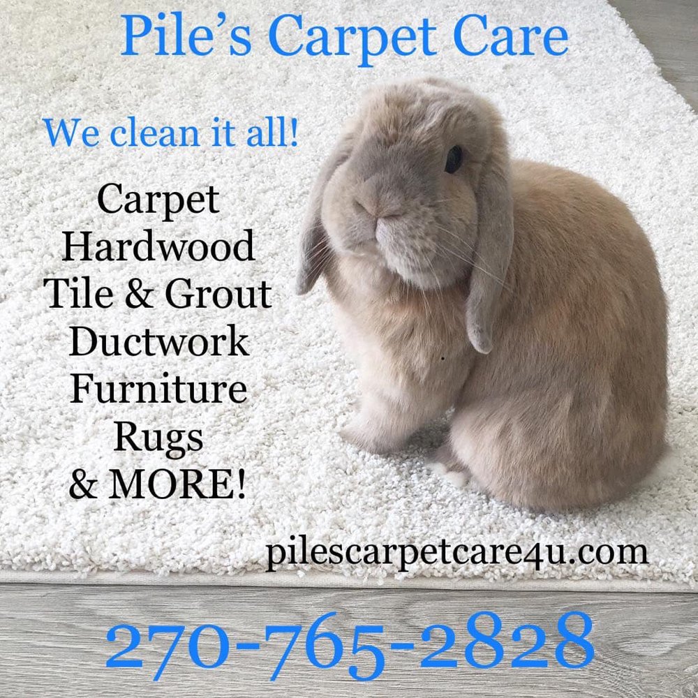 PILE’S CARPET CARE & RESTORATION SERVICE 87 Photos Carpet Cleaning