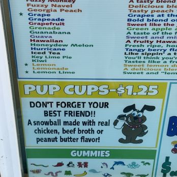 Shoofly Dairy Bar - Pup cups! - Shaved Ice Near Me - Williamsburg, Virginia