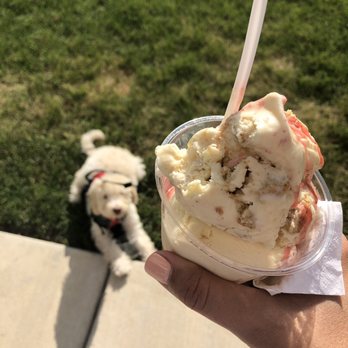 Shawn Michelle's - Ice Cream & Frozen Yogurt Near Me - Chicago, Illinois