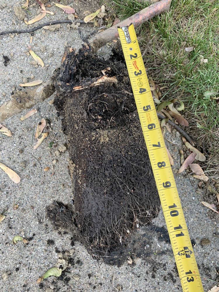 Slide of Devine Sewer And Drain Services