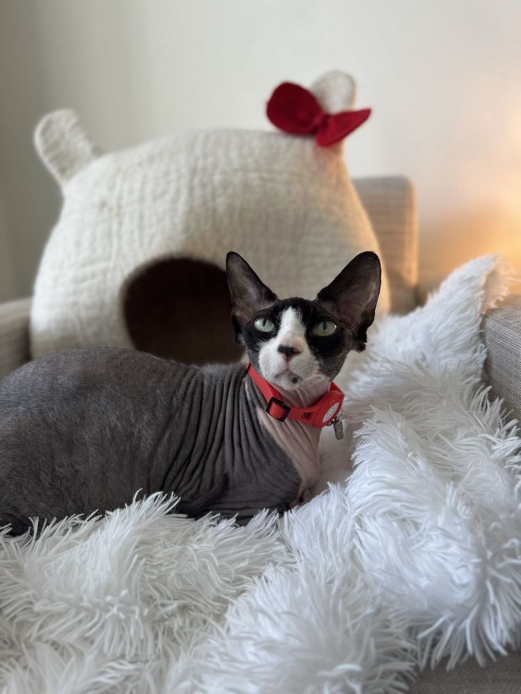 MD Psychiatry & Emotional Health - grief counselor in Cary, NC