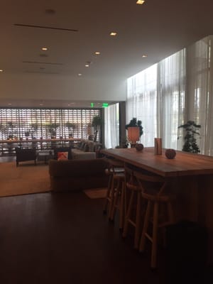 South Congress Hotel by null