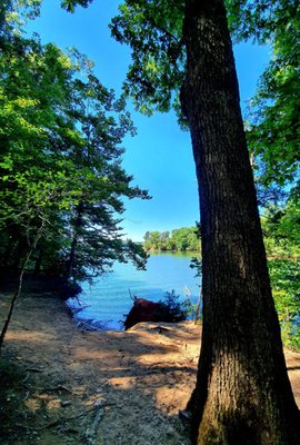 Lake Norman State Park by null