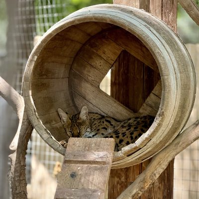 Wildlife World Zoo, Aquarium & Safari Park by null