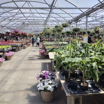 Family Tree Nursery - The expanse of greenery. - Nurseries & Gardening Near Me - Shawnee, Kansas Family Tree Nursery - The expanse of greenery. - Nurseries & Gardening Near Me - Shawnee, Kansas