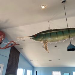 High Tide Bar