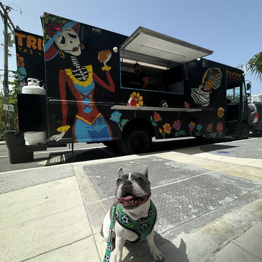 La Catrina - Tacos Near Me - Miami, Florida