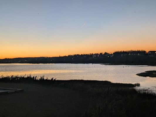 Blue Mussel Cafe by null