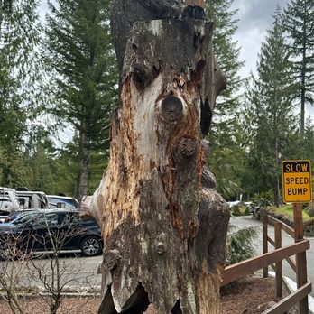 Blue Sky RV Park - RV Parks Near Me - Issaquah, Washington Blue Sky RV Park - RV Parks Near Me - Issaquah, Washington