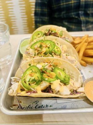 Pacific Catch by null