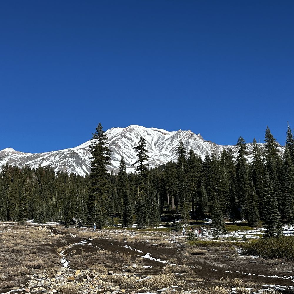 Bunny Flat Trail - Hiking Near Me - Mount Shasta, California