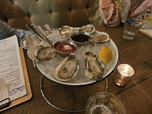 The Salt Line by null The Salt Line by null