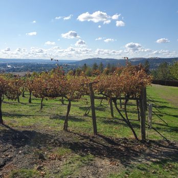 Square Wheel Brewing - A view of the vineyards and Spokane! - Breweries Near Me - Spokane, Washington Square Wheel Brewing - A view of the vineyards and Spokane! - Breweries Near Me - Spokane, Washington