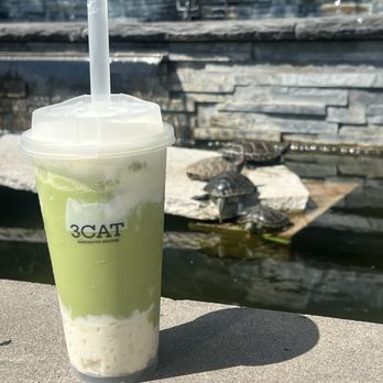 3CAT HANDCRAFTED BEVERAGE - Updated October 2025 - 281