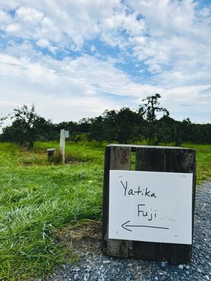 Marker-Miller Orchards by null