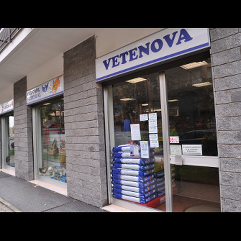 TOP 10 BEST Private Dog Training near Timoline, Brescia, Italy - Updated  2026 - Yelp, image size:1000x1000