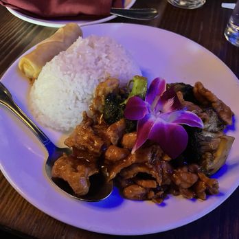 Jade Eatery And Lounge - Chicken and broccoli with white rice and a spring roll. - Asian Fusion Near Me - Forest Hills, New York Jade Eatery And Lounge - Chicken and broccoli with white rice and a spring roll. - Asian Fusion Near Me - Forest Hills, New York