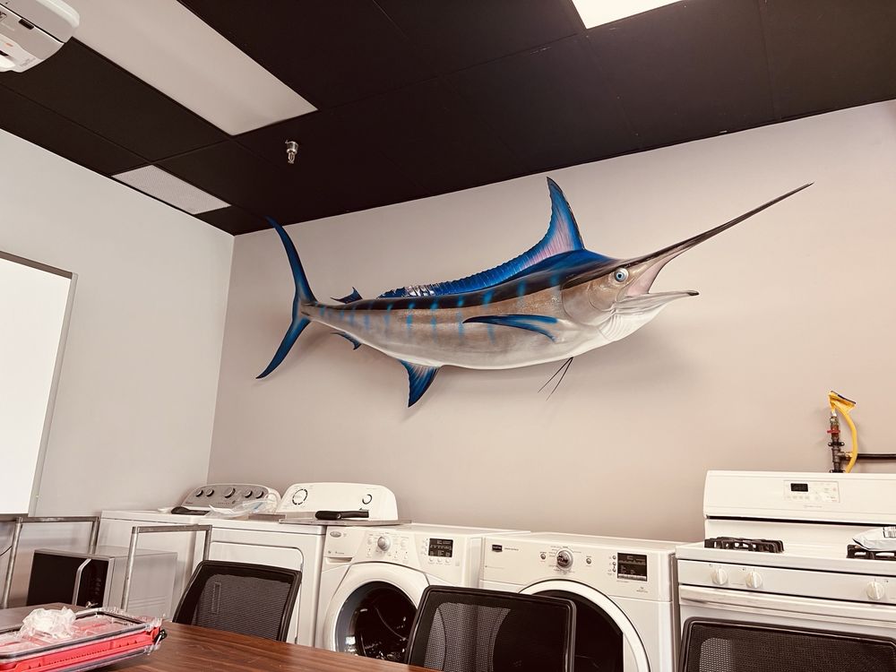 WEST METRO APPLIANCE Updated August 2024 24 Photos & 10 Reviews