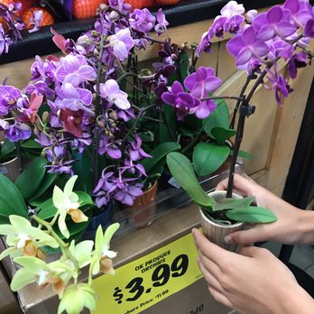 Grocery Outlet - Grocery Near Me - Spring Valley, California