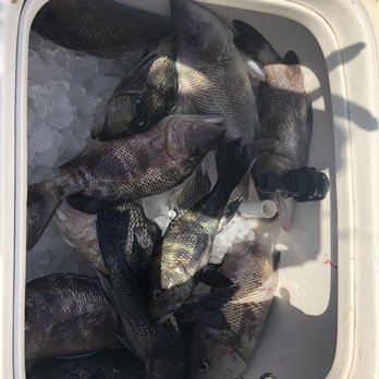 Fiddler's Restaurant and Resort - Sea bass and White Grunt - Seafood Near Me - Steinhatchee, Florida