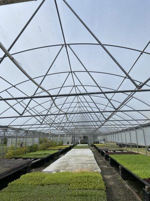 Blue House Farm Strawberry U-Pick and Farmstand by null
