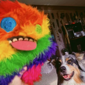 Wild Bill's Tobacco - My happy dog!! - Vape Shops Near Me - Adrian, Michigan Wild Bill's Tobacco - My happy dog!! - Vape Shops Near Me - Adrian, Michigan